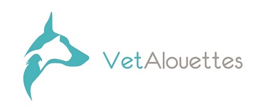 logo clinique vetalouettes 135538